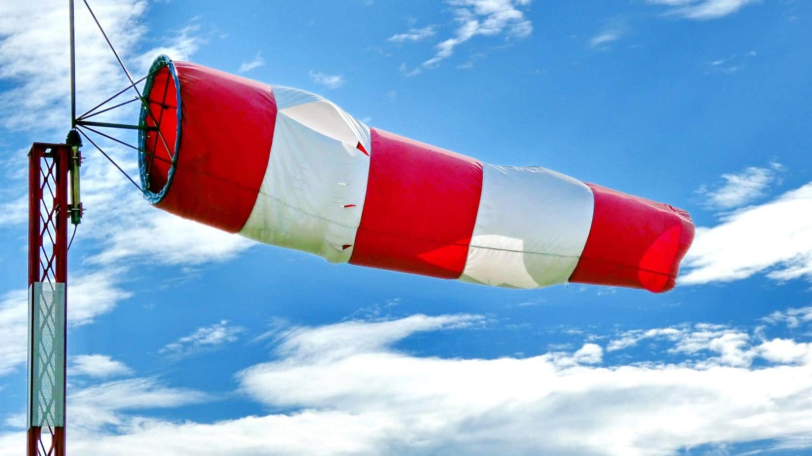Understanding the Role of Insightful Reports in Strategic Growth